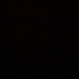 Meet your Posher, Donovan